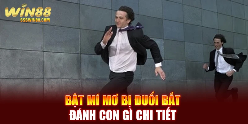 Bật mí mơ bị đuổi bắt đánh con gì chi tiết