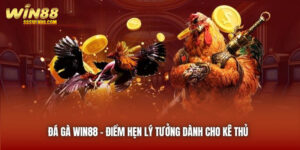 Đá Gà Win88 | Điểm Hẹn Lý Tưởng Dành Cho Kê Thủ