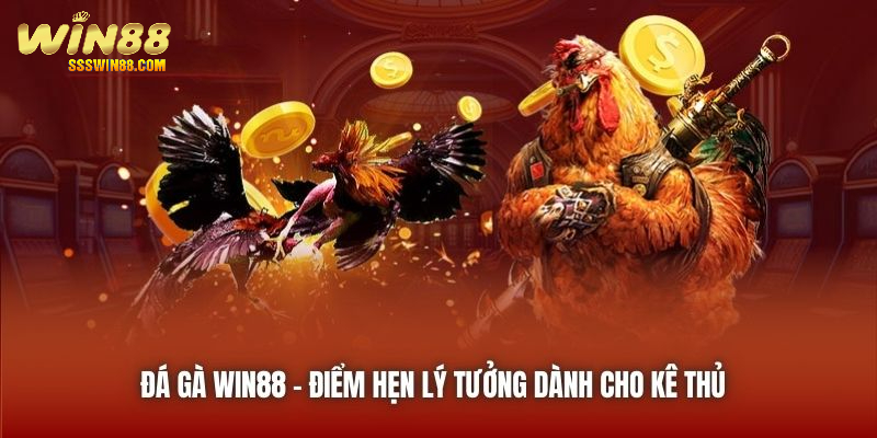 Đá Gà Win88 | Điểm Hẹn Lý Tưởng Dành Cho Kê Thủ