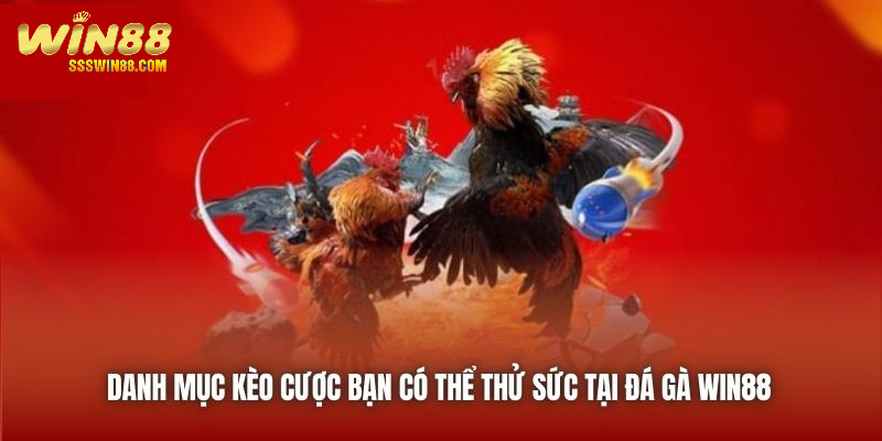 Danh mục kèo cược bạn có thể thử sức tại Đá Gà Win88