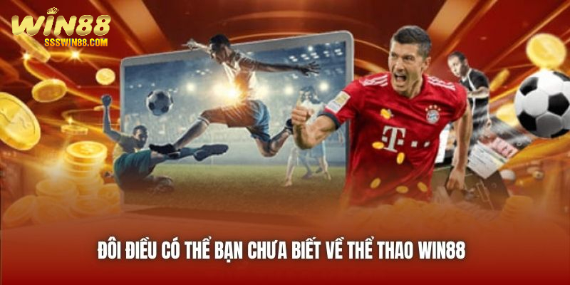 Đôi điều có thể bạn chưa biết về Thể Thao Win88