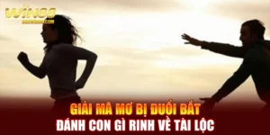 Giải Mã Mơ Bị Đuổi Bắt Đánh Con Gì Rinh Về Tài Lộc 