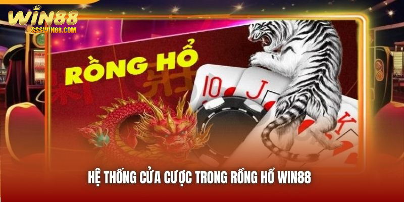 Hệ thống cửa cược trong Rồng Hổ Win88