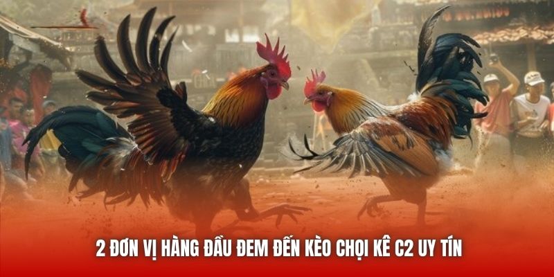 2 đơn vị hàng đầu đem đến kèo chọi kê C2 uy tín