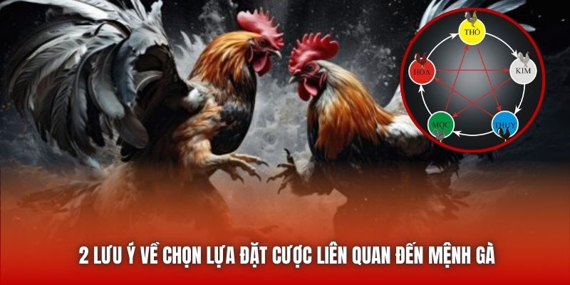 2 lưu ý về chọn lựa đặt cược liên quan đến mệnh gà