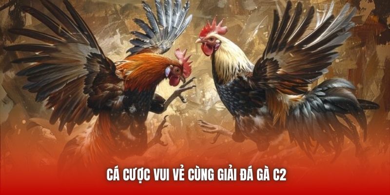 Cá cược vui vẻ cùng giải Đá gà C2