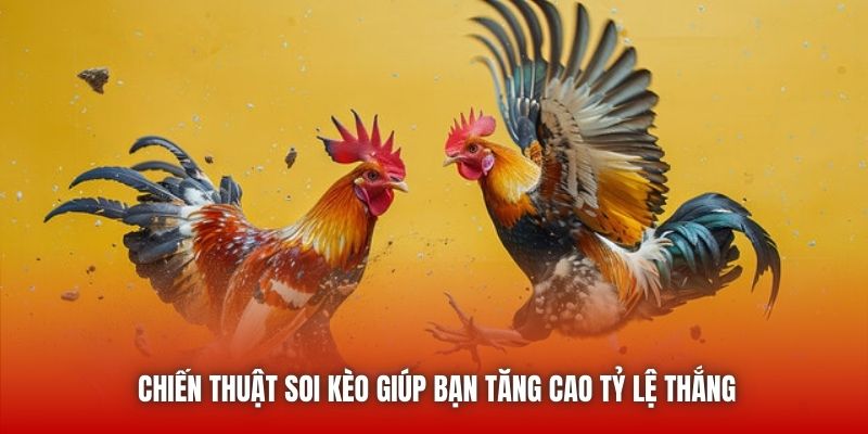 Chiến thuật soi kèo giúp bạn tăng cao tỷ lệ thắng