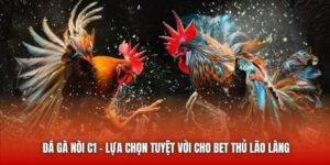 Đá Gà Nòi C1 - Lựa Chọn Tuyệt Vời Cho Bet Thủ Lão Làng