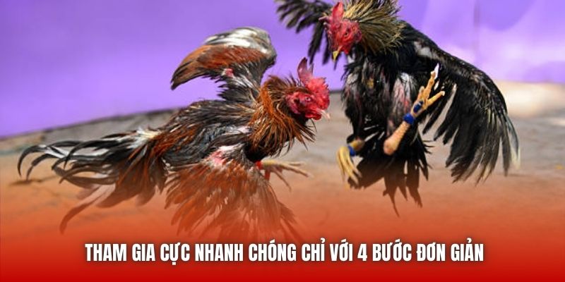 Tham gia cực nhanh chóng chỉ với 4 bước đơn giản