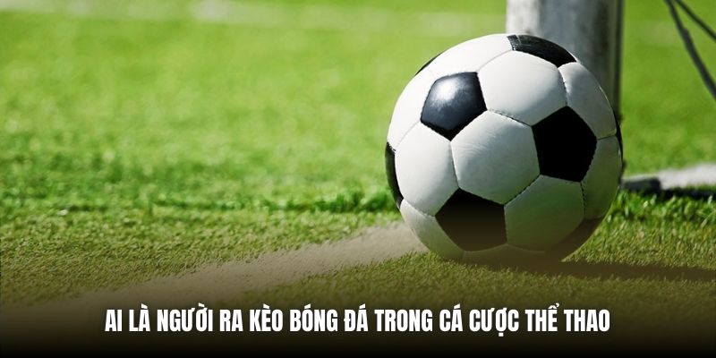 Ai là người ra kèo bóng đá trong cá cược thể thao