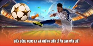 Biến Động Odds Lạ Và Những Điều Bí Ẩn Bạn Cần Biết
