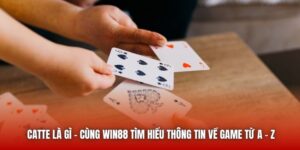Catte Là Gì - Cùng Win88 Tìm Hiểu Thông Tin Về Game Từ A - Z