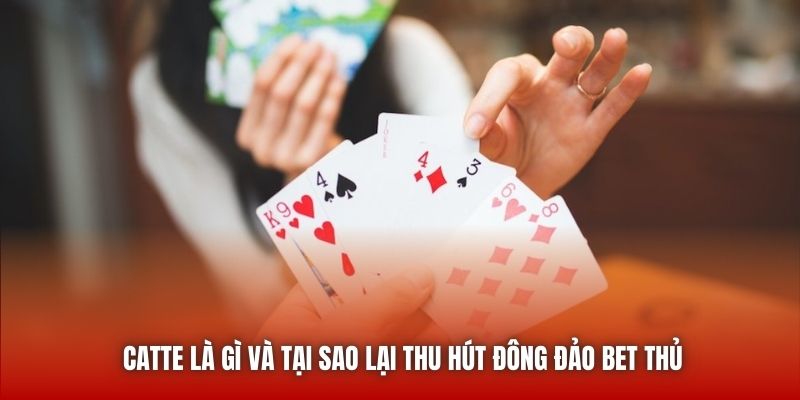 Catte là gì và tại sao lại thu hút đông đảo bet thủ