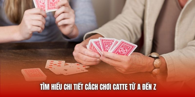 Tìm hiểu chi tiết cách chơi Catte từ A đến Z