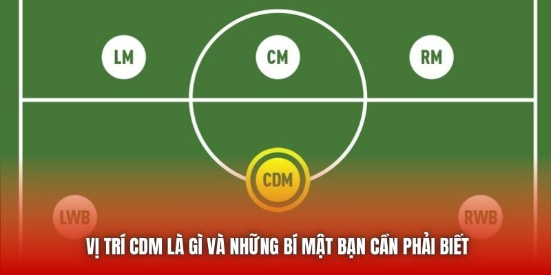 Vị Trí CDM Là Gì Và Những Bí Mật Bạn Cần Phải Biết