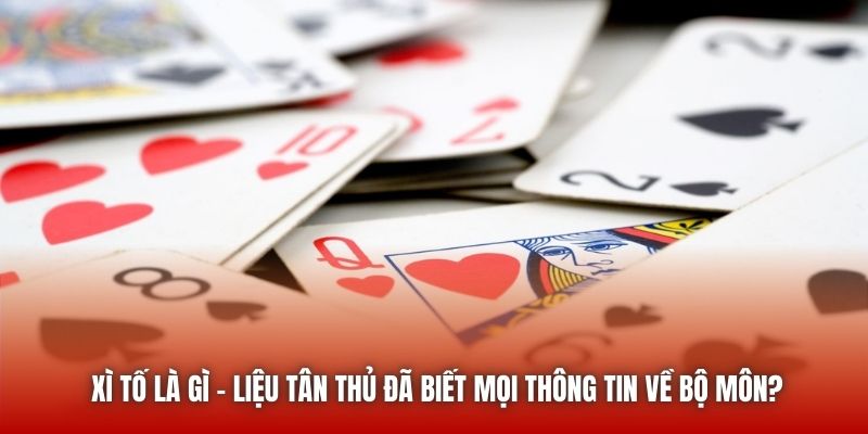 Xì Tố Là Gì - Liệu Tân Thủ Đã Biết Mọi Thông Tin Về Bộ Môn?