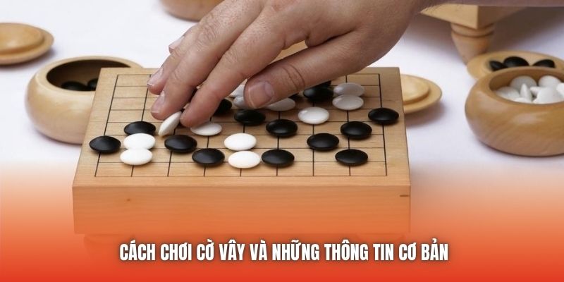Cách chơi cờ vây và những thông tin cơ bản