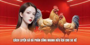 Cách Luyện Gà Đá Phản Công Nhanh Hữu Ích Cho Sư Kê