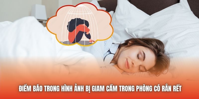 Điểm báo trong hình ảnh bị giam cầm trong phòng có rắn rết