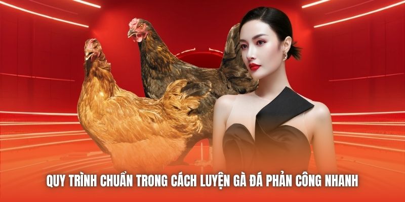Quy trình chuẩn trong cách luyện gà đá phản công nhanh