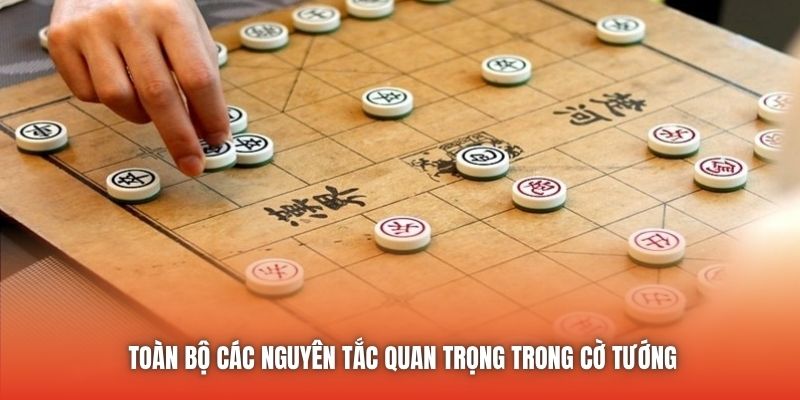 Toàn bộ các nguyên tắc quan trọng trong cờ tướng