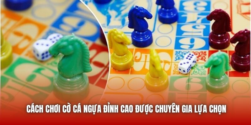 Cách Chơi Cờ Cá Ngựa Đỉnh Cao Được Chuyên Gia Lựa Chọn