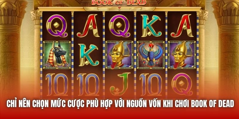 Chỉ nên chọn mức cược phù hợp với nguồn vốn khi chơi Book of Dead