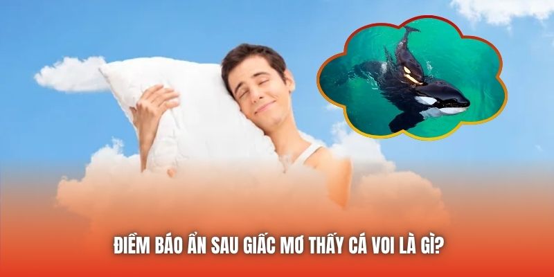 Điềm báo ẩn sau giấc mơ thấy cá voi là gì?