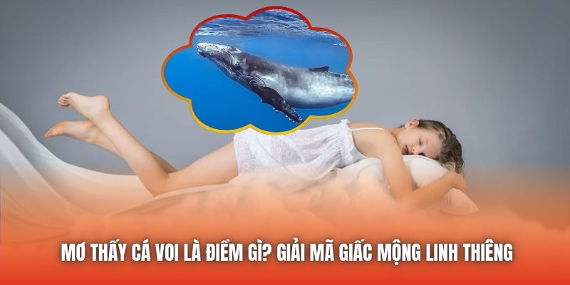 Mơ Thấy Cá Voi Là Điềm Gì? Giải Mã Giấc Mộng Linh Thiêng