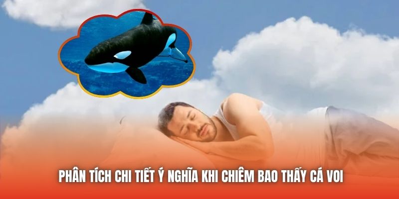 Phân tích chi tiết ý nghĩa khi chiêm bao thấy cá voi