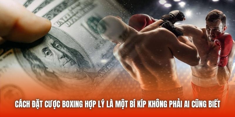 Cách đặt cược boxing hợp lý là một bí kíp không phải ai cũng biết