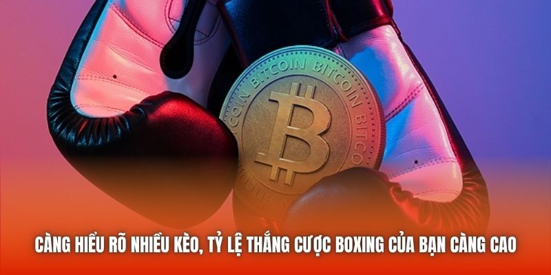 Càng hiểu rõ nhiều kèo, tỷ lệ thắng cược boxing của bạn càng cao