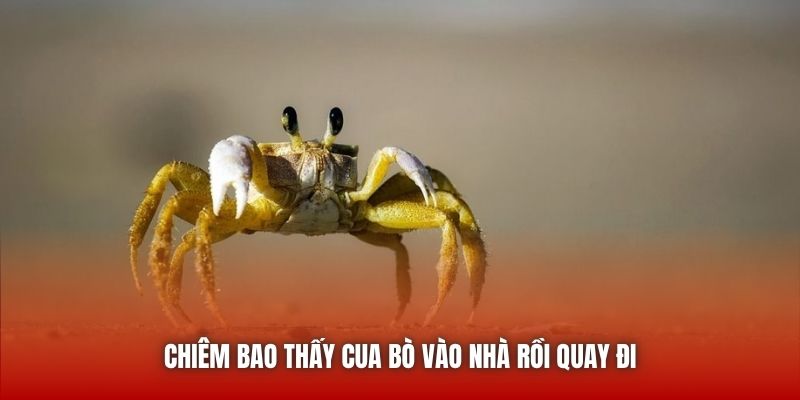 Chiêm bao thấy cua bò vào nhà rồi quay đi