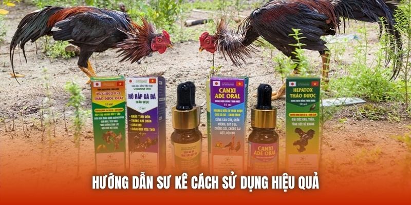 Hướng dẫn sư kê cách sử dụng hiệu quả