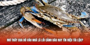 Mơ Thấy Cua Bò Vào Nhà Là Lời Cảnh Báo Hay Tín Hiệu Tài Lộc?