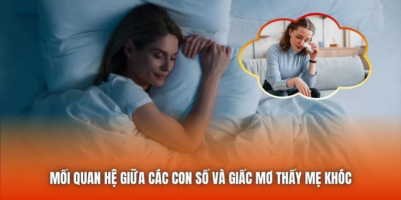 Mối quan hệ giữa các con số và giấc mơ thấy mẹ khóc