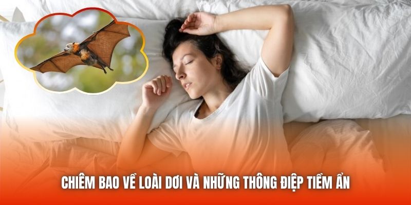 Chiêm bao về loài dơi và những thông điệp tiềm ẩn