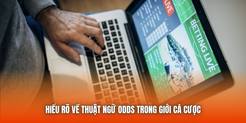 Hiểu rõ về thuật ngữ odds trong giới cá cược
