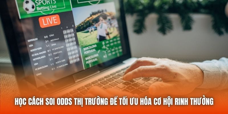 Học cách soi odds thị trường để tối ưu hóa cơ hội rinh thưởng