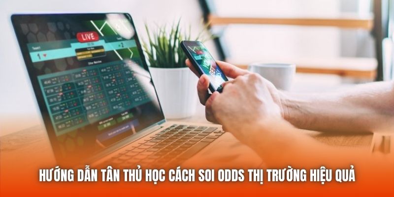 Hướng dẫn tân thủ học cách soi odds thị trường hiệu quả