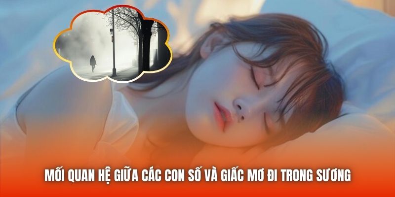 Mối quan hệ giữa các con số và giấc mơ đi trong sương