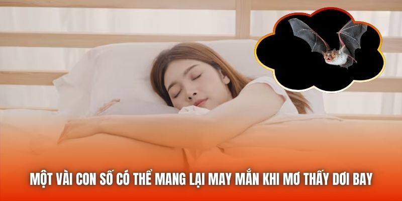 Một vài con số có thể mang lại may mắn khi mơ thấy dơi bay